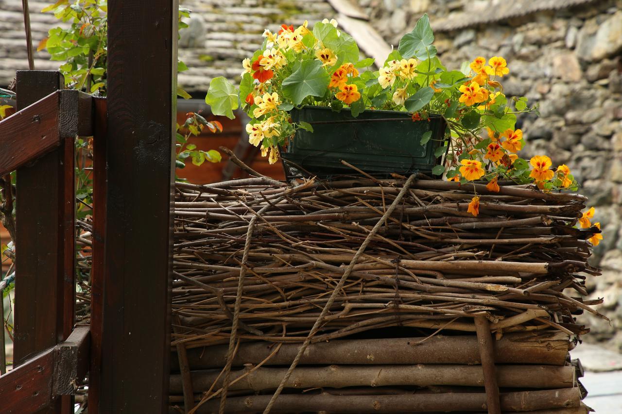 Residence Casa Dei Fiori Alagna Valsesia Exterior foto